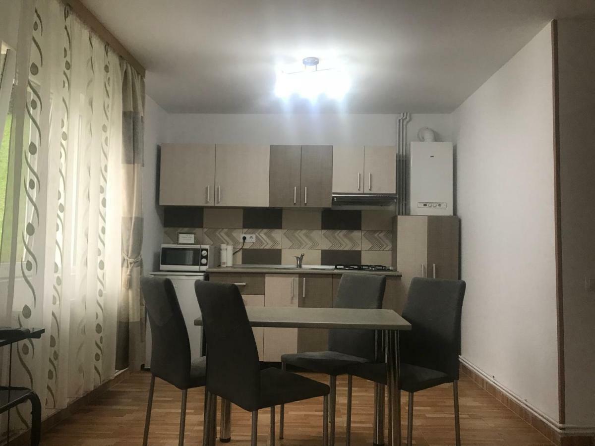 Garsoniera Family Apartment บุชเตนี ภายนอก รูปภาพ
