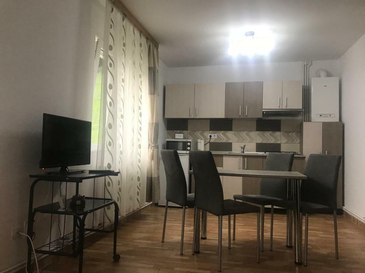 Garsoniera Family Apartment บุชเตนี ภายนอก รูปภาพ